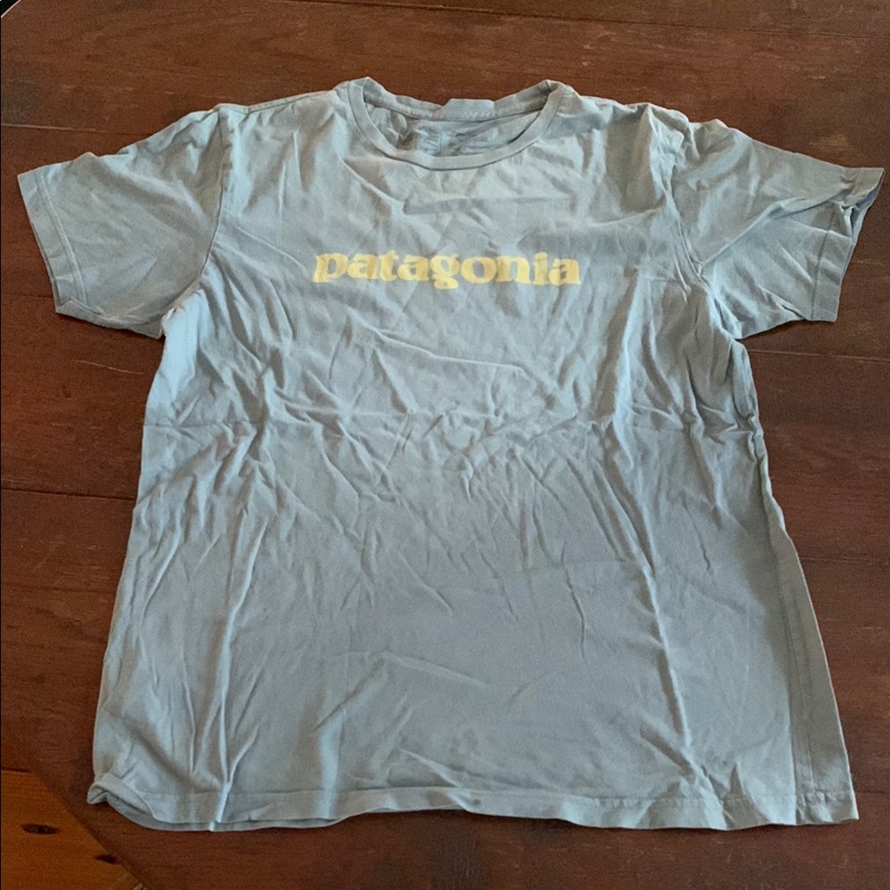 Patagonia Gray/blue Men's Shirt